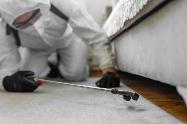 Professional Bed Bug Control technician working in Union County County, SC